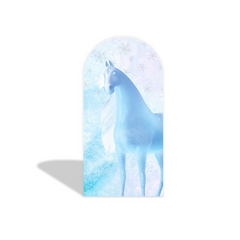 Toile de fond pour arche fête anniversaire La Reine des Neiges