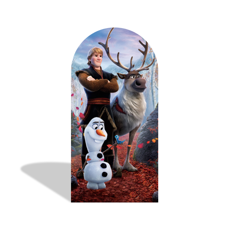 Toile de fond pour arche fête anniversaire princesse Anna Elsa La Reine des Neiges