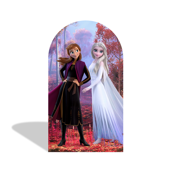 Toile de fond pour arche fête anniversaire princesse Anna Elsa La Reine des Neiges