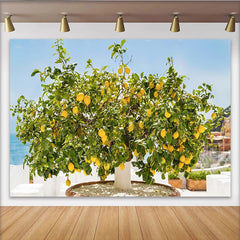 Lofaris Toile de fond de photographie citronnier, citrons jaunes et ciel bleu, arrière-plan estival pour studio photo