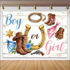 Lofaris Toile de fond baby shower révélation de genre western, arrière-plan bleu et rose pour fête de naissance et photo