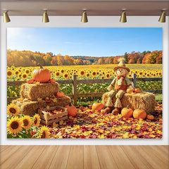 Découvrez Toile de fond automne avec citrouilles et épouvantail, magnifique arrière-plan de récolte pour studio photo