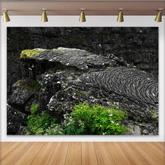 Lofaris Toile de fond de photographie roche volcanique texturée avec mousse verte, arrière-plan pour studio photo et portrait artistique
