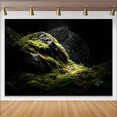 Lofaris Toile de fond de photographie de nature avec rochers moussus et lumière tamisée, arrière-plan sombre et mystérieux pour studio photo