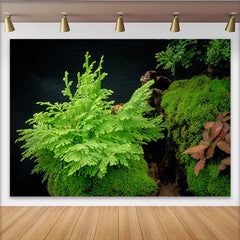 Lofaris Toile de fond de photographie nature luxuriante avec mousse et feuillage vert, véritable arrière-plan végétal pour studio photo