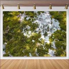 Lofaris Toile de fond de photographie mousse verte et texture naturelle, arrière-plan organique pour studio photo professionnel