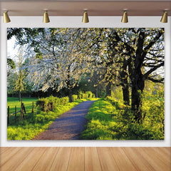 Lofaris Toile de fond paysage de printemps avec arbres en fleurs et chemin verdoyant, magnifique arrière-plan pour studio photo et photographie