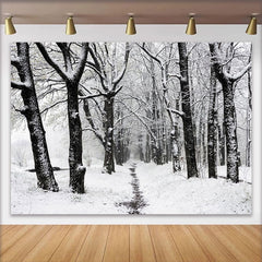 Lofaris Toile de fond de photographie paysage hivernal enneigé avec arbres et chemin, magnifique arrière-plan naturel pour studio photo