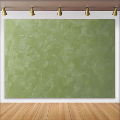 Lofaris Fond Photo Vert Sauge Plâtre Naturel Portrait Studio Professionnel