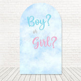Toile de fond pour arche révélation genre garçon ou fille pour joie événement bébé
