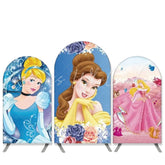 Kit toile de fond pour arche anniversaire filles thème princesse dessin animé
