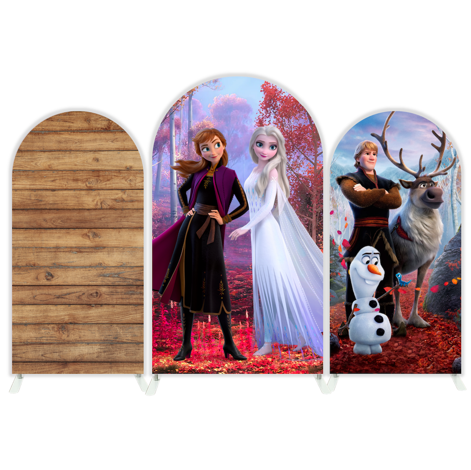 Toile de fond pour arche fête anniversaire princesse Anna Elsa La Reine des Neiges
