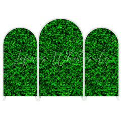 Toile de fond pour arche fête anniversaire fond feuilles arbre vert
