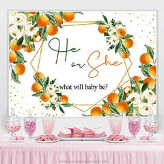 Thème Boho blanc il ou elle ce que bébé sera toile de fond