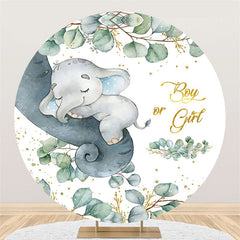 garçon ou fille mignon éléphant cercle bébé douche toile de fond