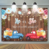 Il ou elle Car Board Photoshoot Backdrop pour Baby Shower