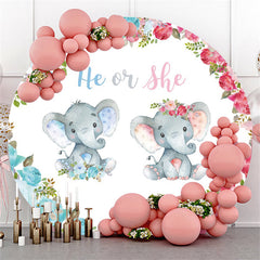Il ou elle éléphant sexe révèle toile de fond ronde de douche de bébé