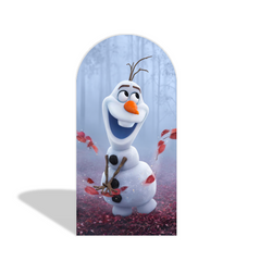 Toile de fond pour arche fête anniversaire thème La Reine des Neiges
