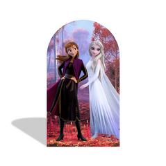 Toile de fond pour arche fête anniversaire princesse Anna Elsa La Reine des Neiges
