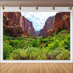Lofaris Toile de fond de photographie paysage naturel avec canyons rocheux et verdure luxuriante, arrière-plan pour studio photo et portrait