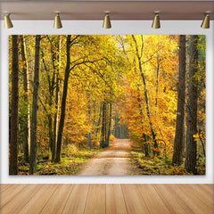 Lofaris Toile de fond forêt d'automne, chemin boisé et feuillage doré, magnifique arrière-plan naturel pour studio photo