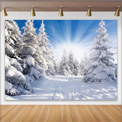 Lofaris Toile de fond de photographie paysage hivernal avec arbres enneigés et soleil éclatant, lumineux pour studio photo et décor de saison