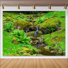 Lofaris Toile de fond de photographie paysage naturel rochers moussus et fougères, arrière-plan de ruisseau verdoyant pour studio photo
