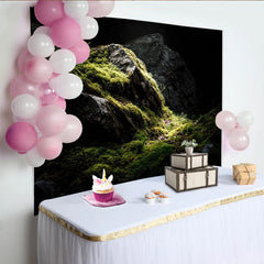 Lofaris Toile de fond de photographie de nature avec rochers moussus et lumière tamisée, arrière-plan sombre et mystérieux pour studio photo