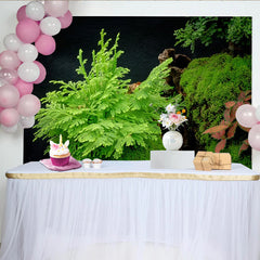 Lofaris Toile de fond de photographie nature luxuriante avec mousse et feuillage vert, véritable arrière-plan végétal pour studio photo