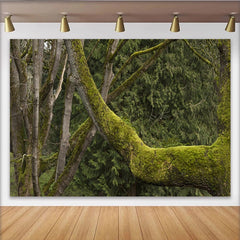 Lofaris Toile de fond de photographie forêt moussue avec arbres verts et texture, magnifique arrière-plan naturel pour studio photo et portrait