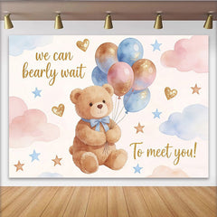 Lofaris Toile de fond pour baby shower ours en peluche rose et bleu avec ballons, décor de fête nuages et étoiles pour révélation du sexe