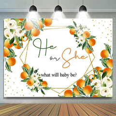 Thème Boho blanc il ou elle ce que bébé sera toile de fond