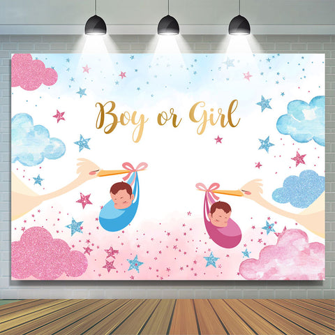 Garçon ou fille Starry Cloud Crane Gender Reveal Toile de fond