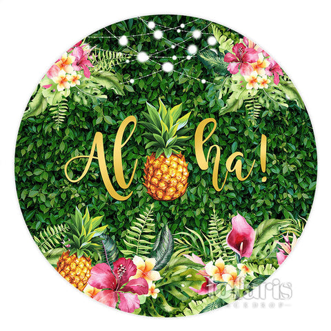 Circle Summer Aloha Ananas Joyeux Anniversaire Toile de Fond