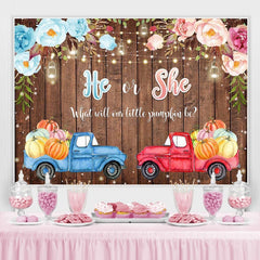 Il ou elle Car Board Photoshoot Backdrop pour Baby Shower