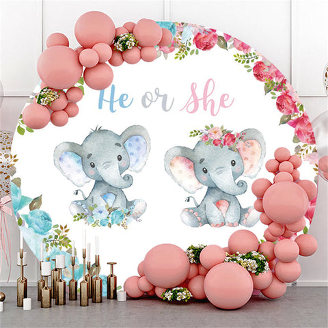 Il ou elle éléphant sexe révèle toile de fond ronde de douche de bébé