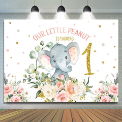 Litter Peanut tourne un anniversaire en toile de fond